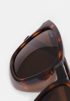 Lacoste Sunglasses - Havana -Lacoste Sales Store 1586ea2b98a24c8fafc001df0fa0bddb