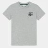 Lacoste Print T-shirt - Argent Chine -Lacoste Sales Store 4b703d19d3624c85aa51ef3d2ecd949d