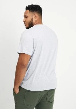Lacoste Basic T-shirt - Light Grey -Lacoste Sales Store 547dc5f26c7543aea90653f61aab50ed