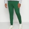 Lacoste PLUS - Tracksuit Bottoms - Vert -Lacoste Sales Store de16bdc6a5ab48b19b821611bb9aadb7