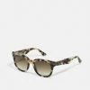 Lacoste Sunglasses - Havana -Lacoste Sales Store de1cd7a213e64ae8ad874501cd316e90